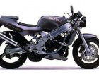 Suzuki RG 250 TV Wolf